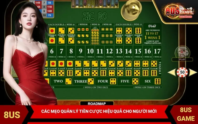 Các mẹo quản lý tiền cược hiệu quả cho người mới