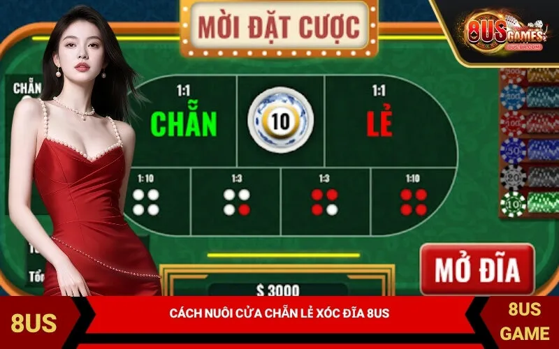 Cách Nuôi Cửa Chẵn Lẻ Xóc Đĩa 8US