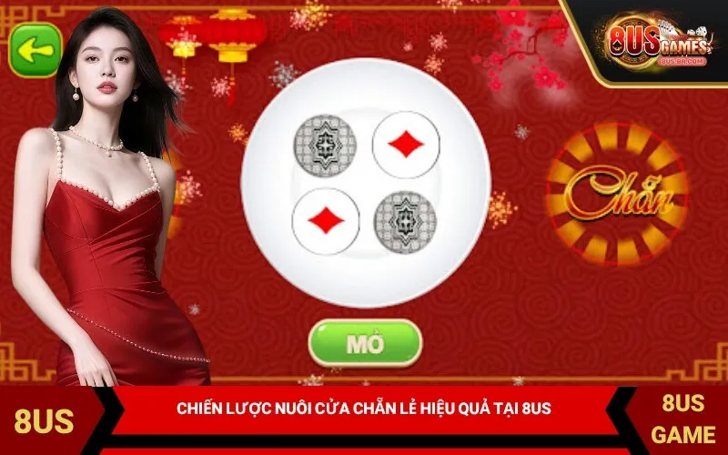 Chiến lược nuôi cửa chẵn lẻ hiệu quả tại 8US