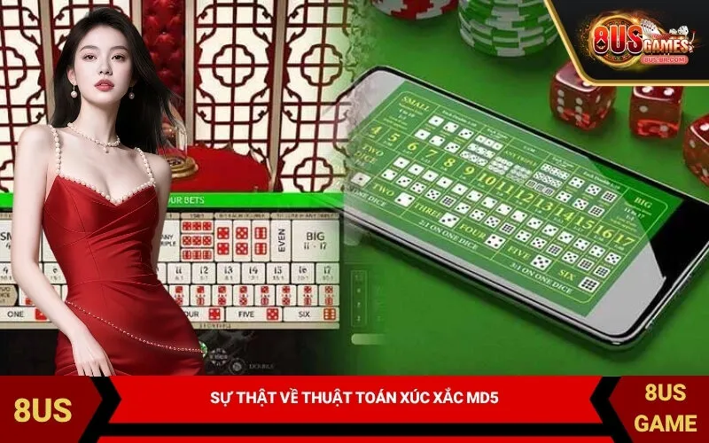 Sự Thật Về Thuật Toán Xúc Xắc MD5